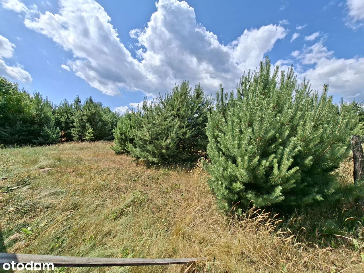 DOM JAK MARZENIE – Barcikowice /Barcikowiczki/ - Zielona Góra-14