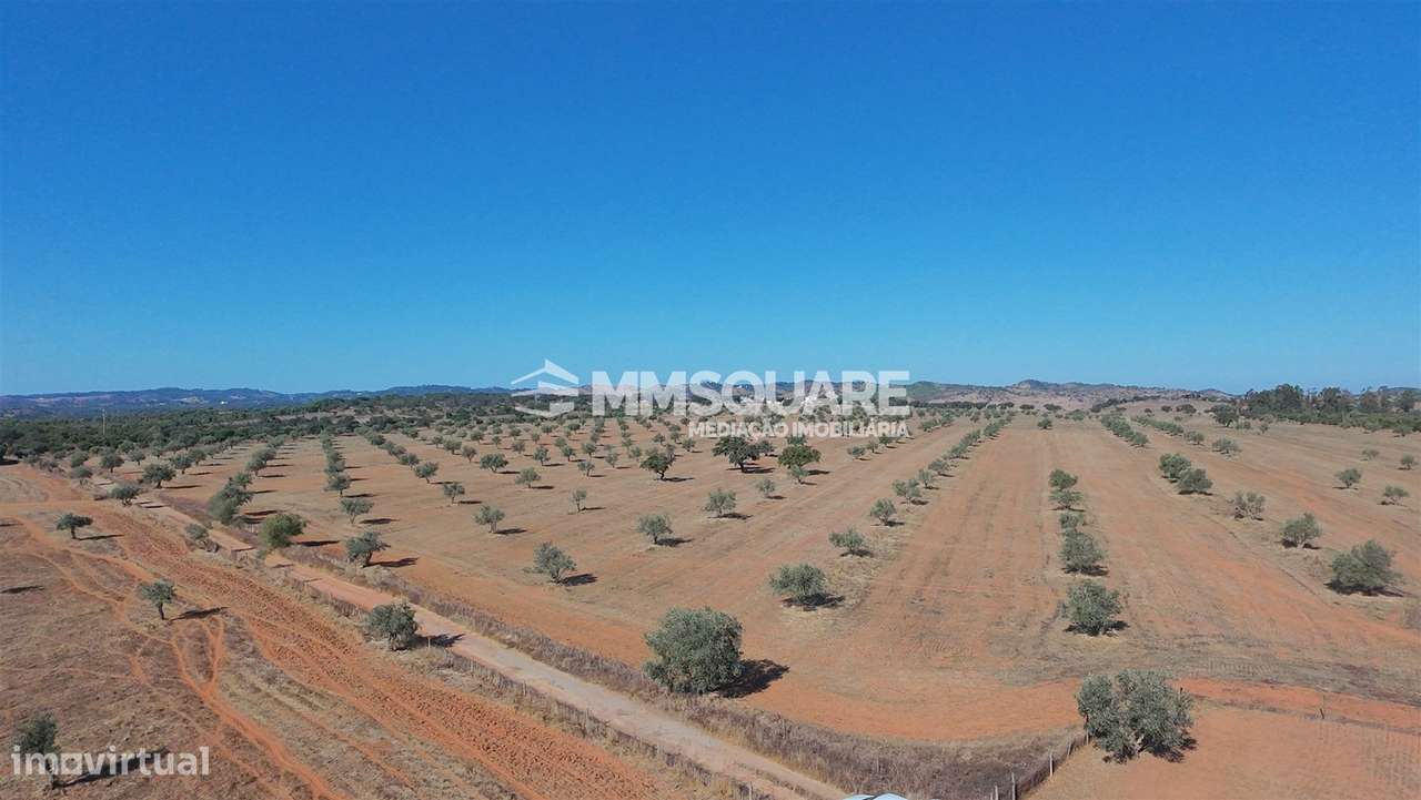 Herdade  Venda em Garvão e Santa Luzia,Ourique-10