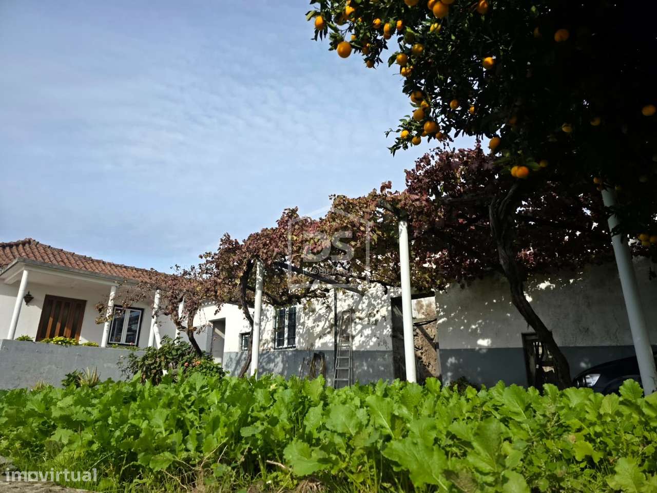 Quinta T4 Venda em Fontelas,Peso da Régua-13