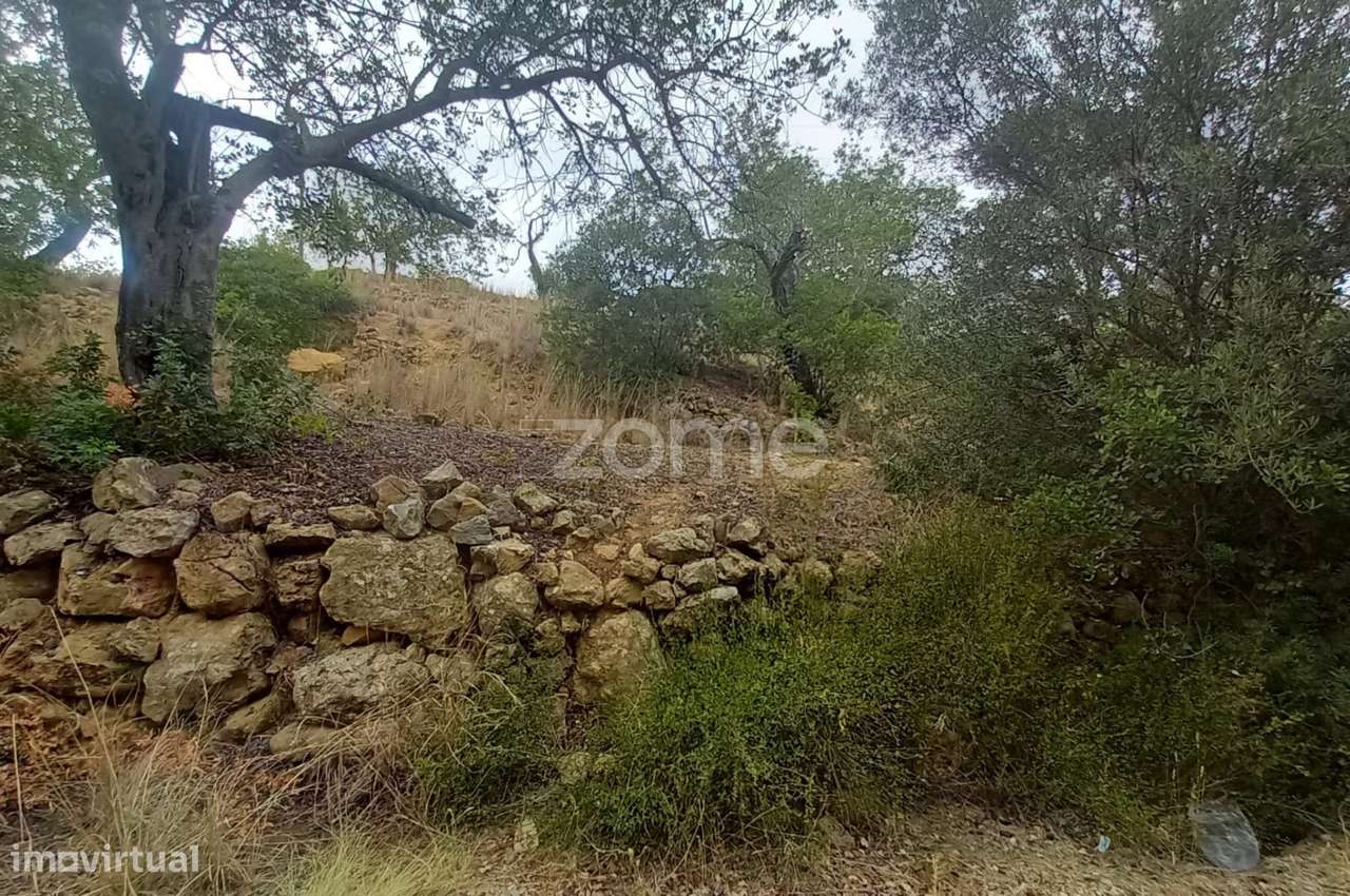 Casinhas/ruínas T3 e T2 para recuperar, terreno, Estói, Faro, Algar... - Grande imagem: 5/53