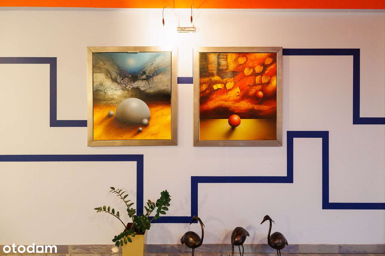 Dom z duszą na Bydgoskim Miedzyniu-11