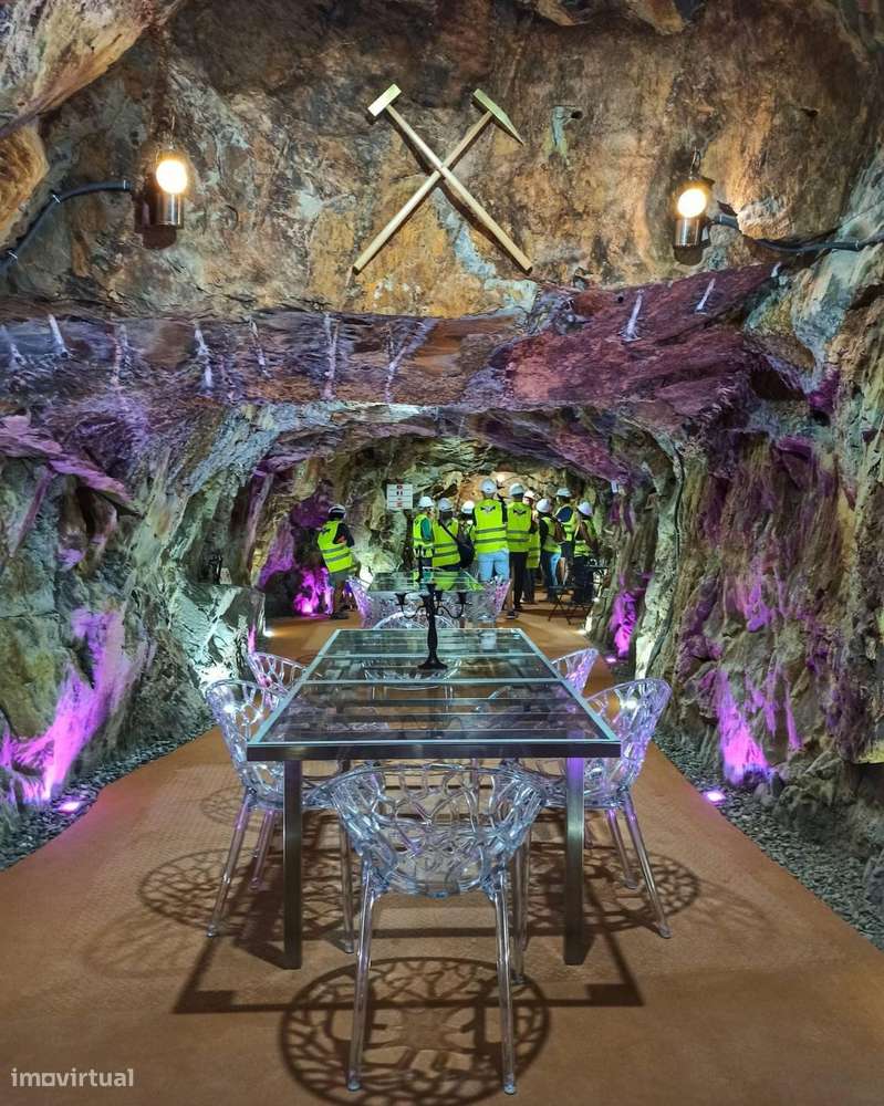 Quinta 5.3 ha, Covilhã-15