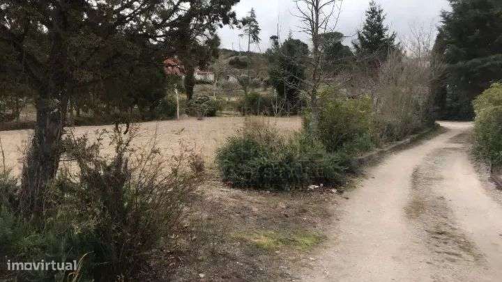 Terreno Rústico - Rio Torto e Lagarinhos - Gouveia-13