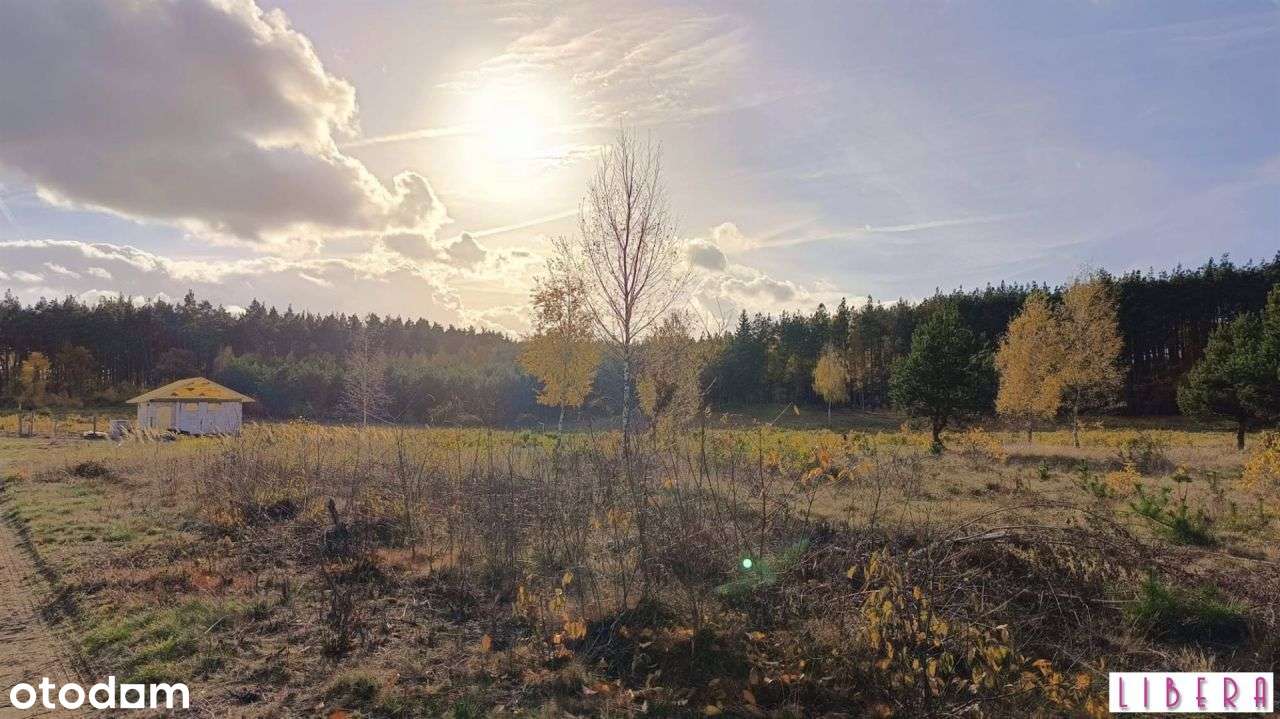 Tylko u nas! Działka, Godzimierz-13