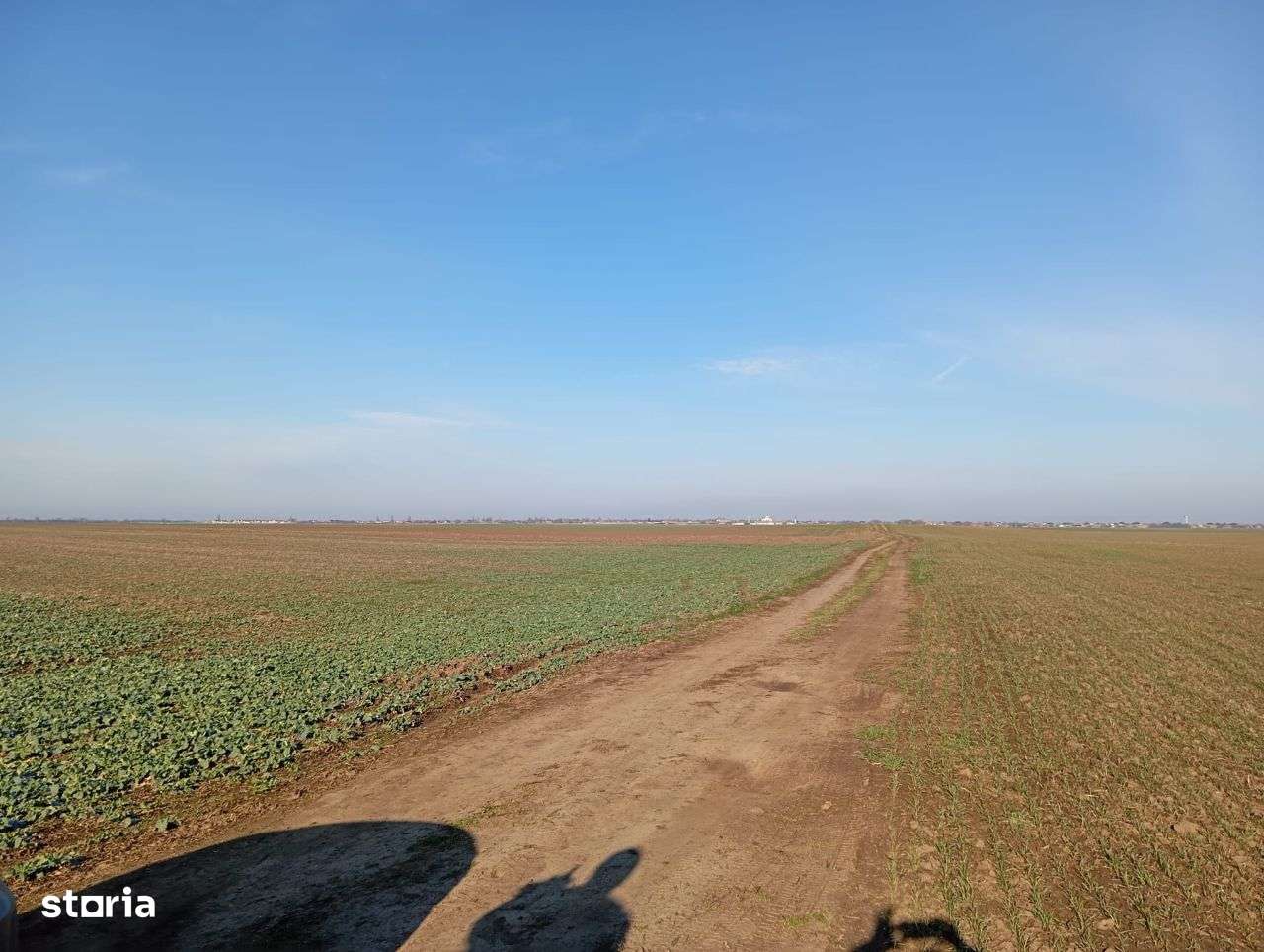 Teren agricol in Curtici - Imagine principală: 4/4