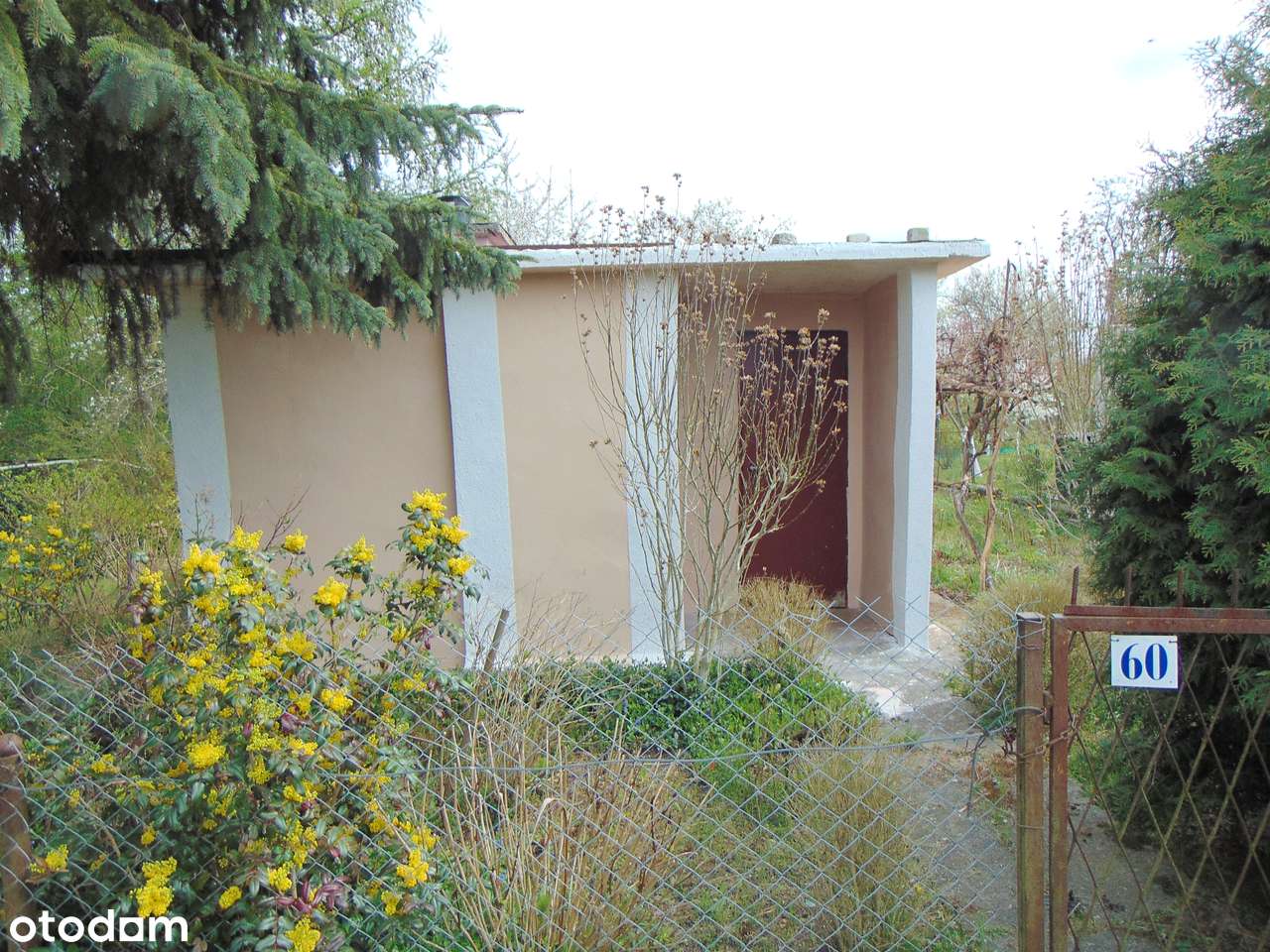 DZIAŁKA OGRODOWA ROD „MŁODOŚĆ-1