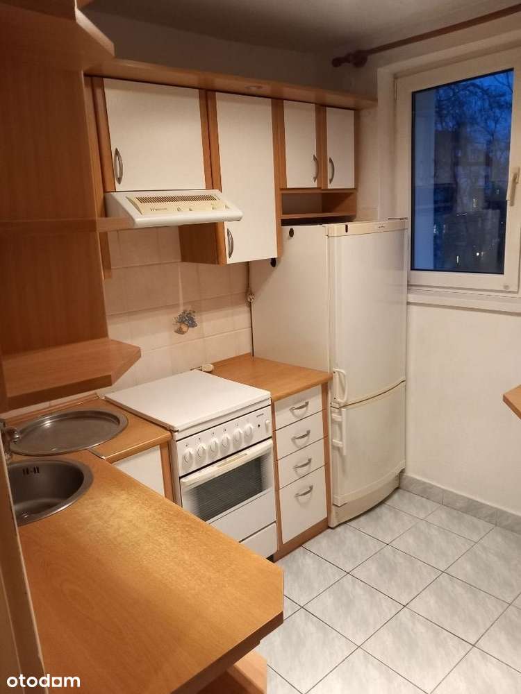 Mieszkanie do wynajęcia - Pełny obrazek: 4/9