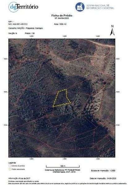 Terrenos em Mação/Cardigos  ( 3 propriedades) 1€ M2 c/Eucalipto 7 anos - Grande imagem: 4/4