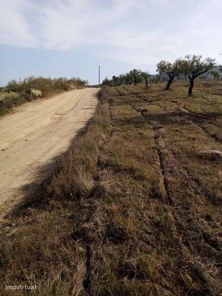 Terreno rústico em sequeiros Moncorvo - Grande imagem: 4/8