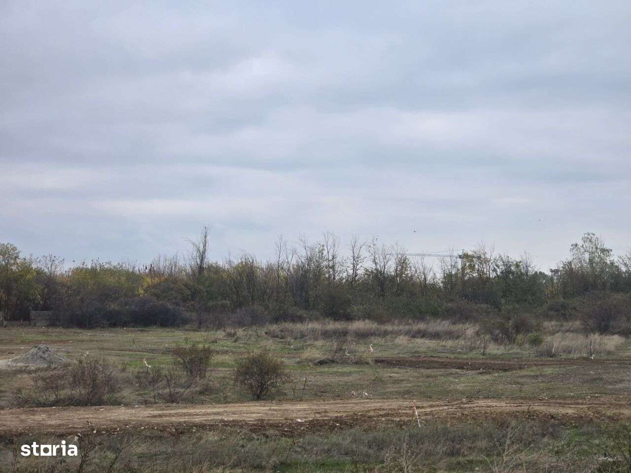 VANZARE TEREN THEODOR PALLADY - Drumul Lunca Corbului-4