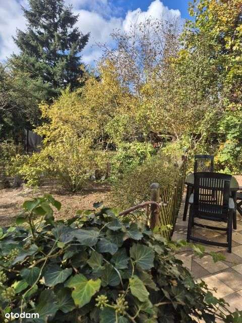 Komorów dwa domy blisko Wkd-3