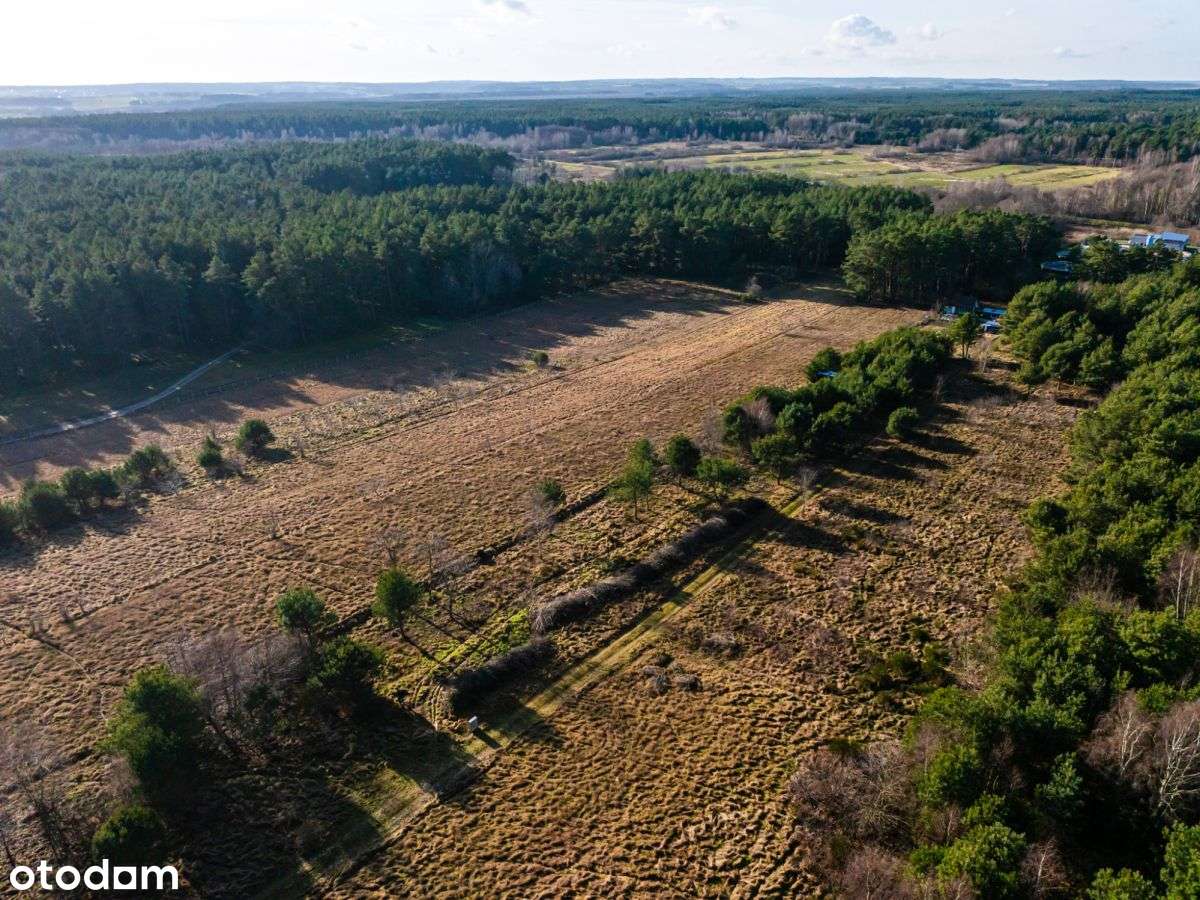 2działki blisko morza,  Jastrzębiej Góra, Tupadły - Pełny obrazek: 5/10