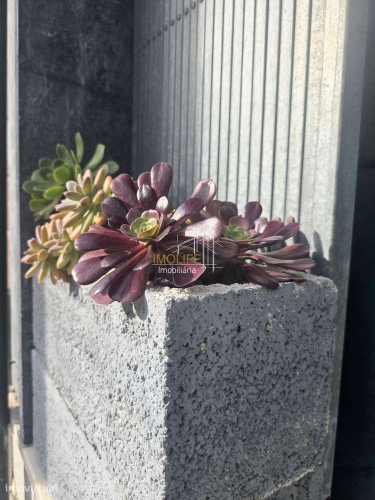 Negócio de restauração  - Restaurante " O Amor Vive na Cozinha" - B...-23