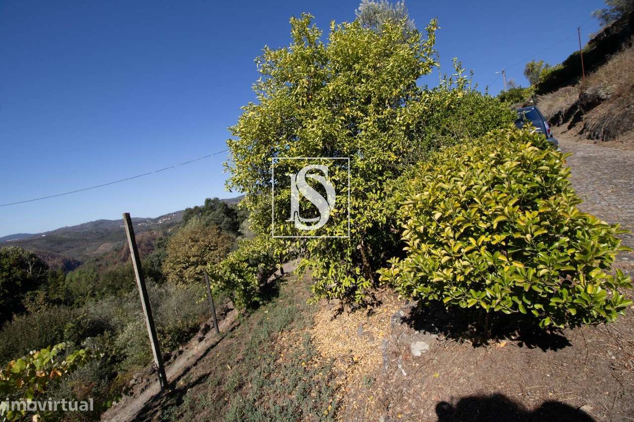 Moradia T2 Rebordelo-19