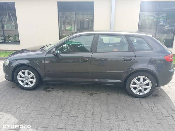 Audi A3 1.6 TDI DPF Ambition - 2