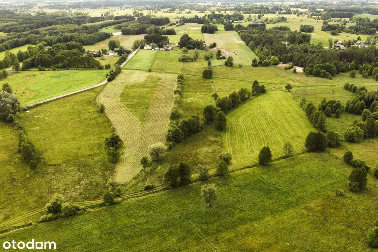 Marianowo g. Długosiodło I 3 działki I warunki zabudowy I pow. 2,06 ha-4