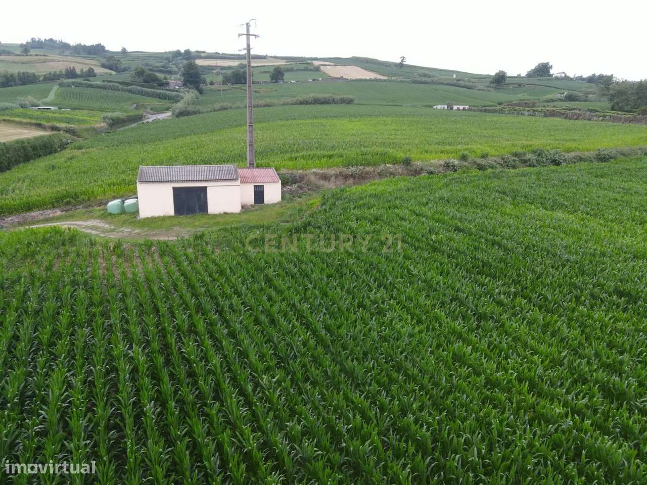 Terreno Agrícola com Armazém e Vista Mar — Um Refúgio Natural na Ribei - Grande imagem: 4/9