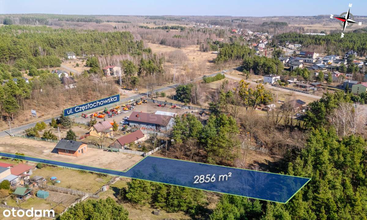 Działka mieszkaniowa 1517 m2/ Panki - Pełny obrazek: 4/6