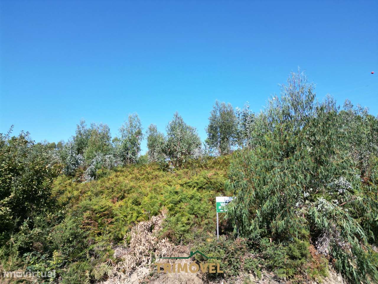 Terreno para construção - Nogueira do Cravo - Grande imagem: 4/14