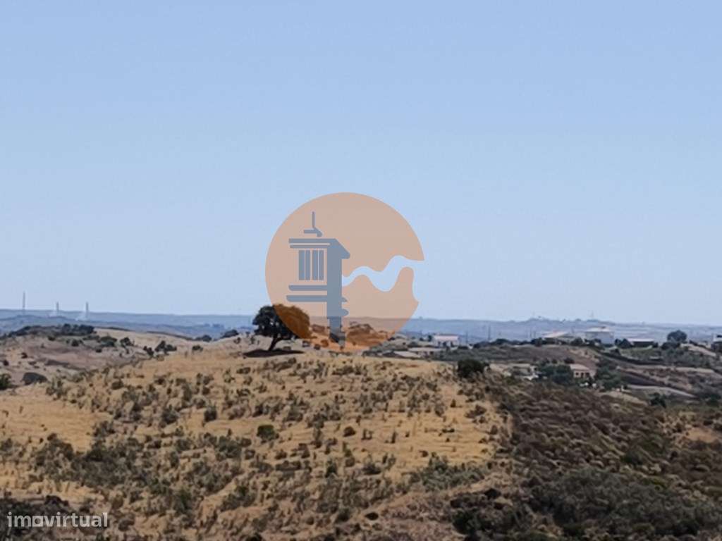 TERRENO COM 15.880 M2 - COM ÁGUA - COM APOIO AGRÍCOLA - ALTURA - CA... - Grande imagem: 3/41