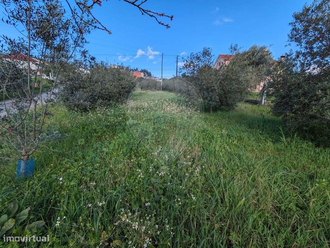 Terreno  para venda - Grande imagem: 3/16