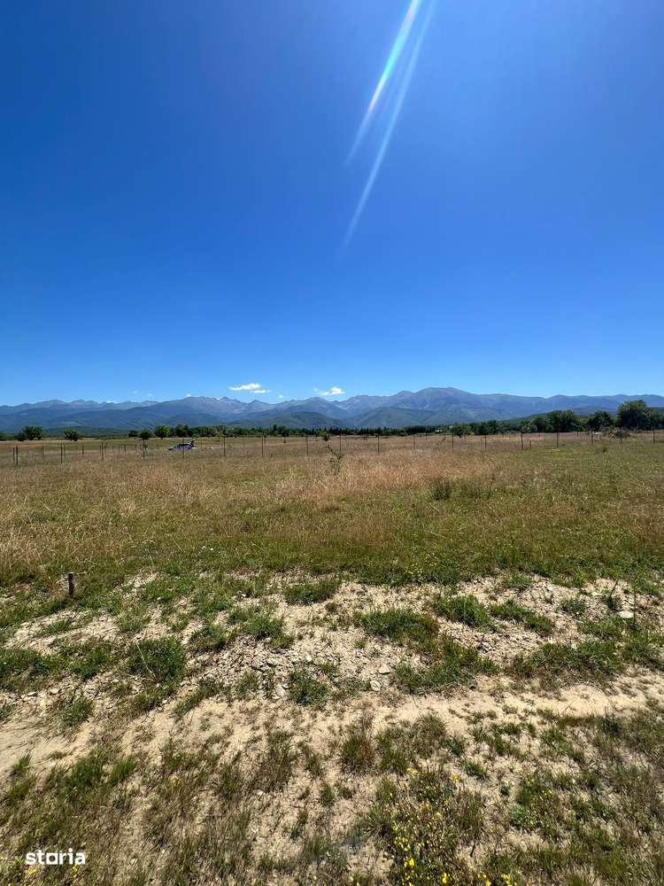 Teren intravilan 1000 mp – Valea Avrigului, cu utilitati! - Imagine principală: 4/5