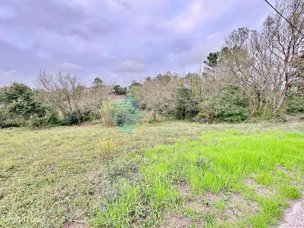 Terreno para a construção de 3 armazéns destinados a comércio, serv... - Grande imagem: 5/19