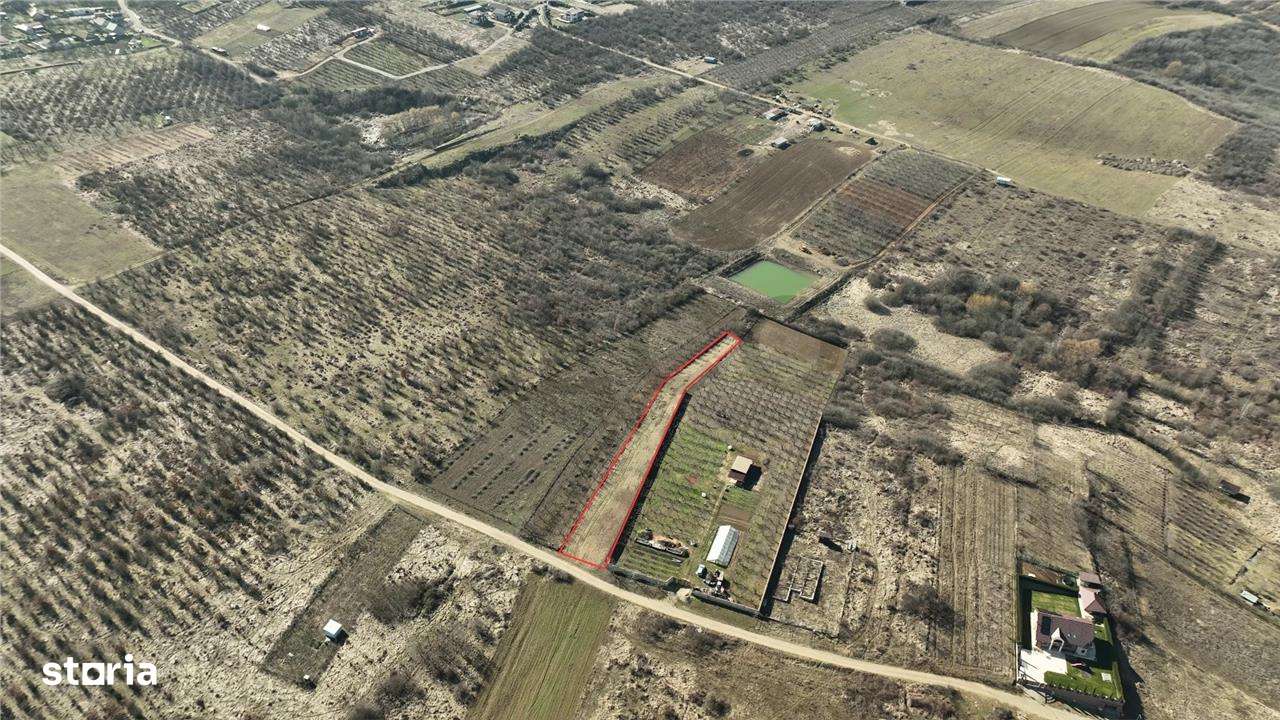 RECO TEREN INTRAVILAN IN PALEU - Imagine principală: 3/5