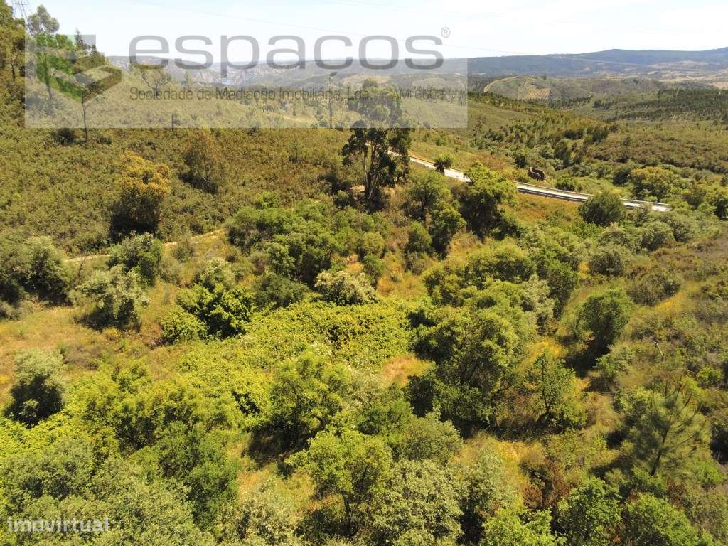 Quinta das Brejas - Fratel - Grande imagem: 2/11