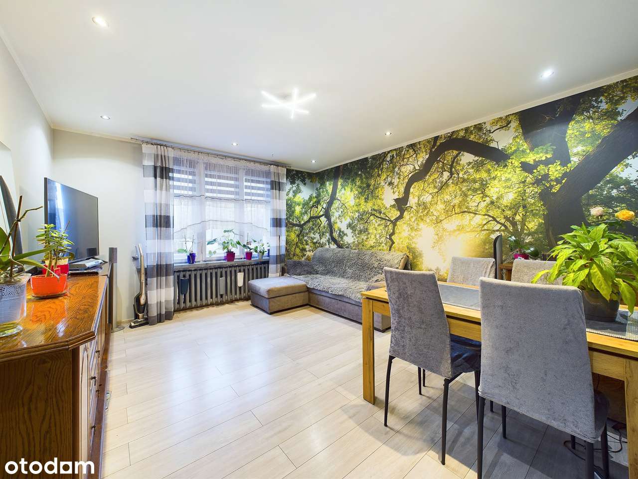 Sosnowiec Środula Matejki Dom 1 lub 2 Rodzinny Super Lokalizacja-18