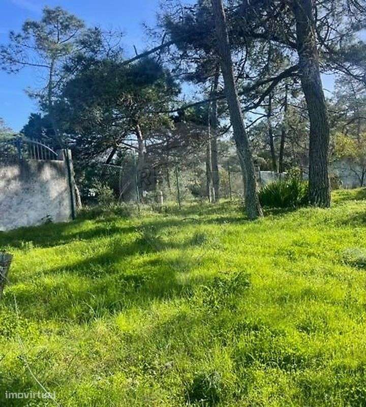 Moradia T1 para venda-19