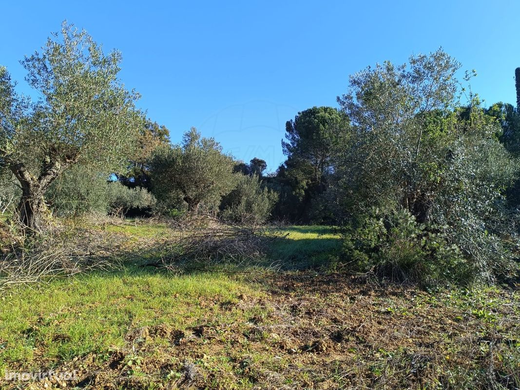 Terreno  para venda