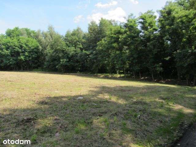 Działka budowlana- Myszkowice, Powiat Będzin - Pełny obrazek: 4/9