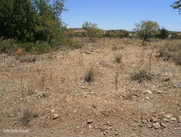 Terreno 5160,00 m2 - Grande imagem: 4/6