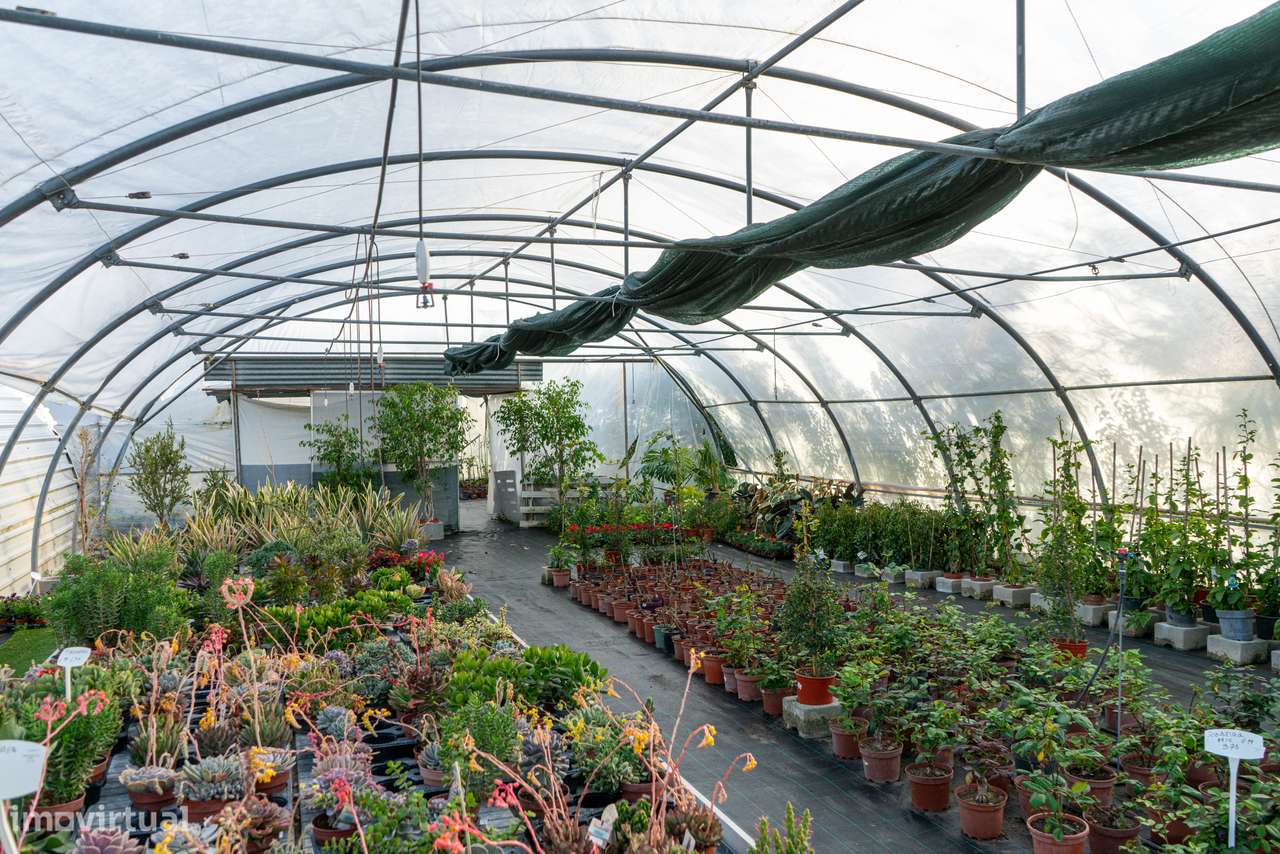 Trespasse de Centro de Jardinagem – Negócio Completo e Equipado - Beja-9
