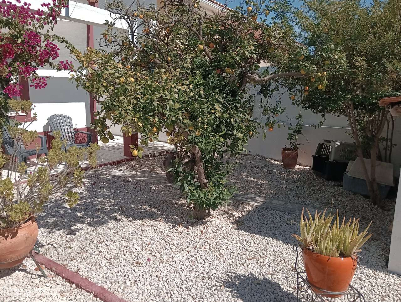 Moradia T4 Brejos Azeitão+Lote-19