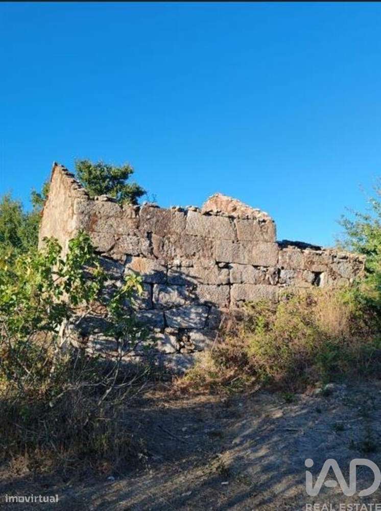 Terreno Agrícola em Seixo da Beira de 31075,00 m2 - Grande imagem: 3/12