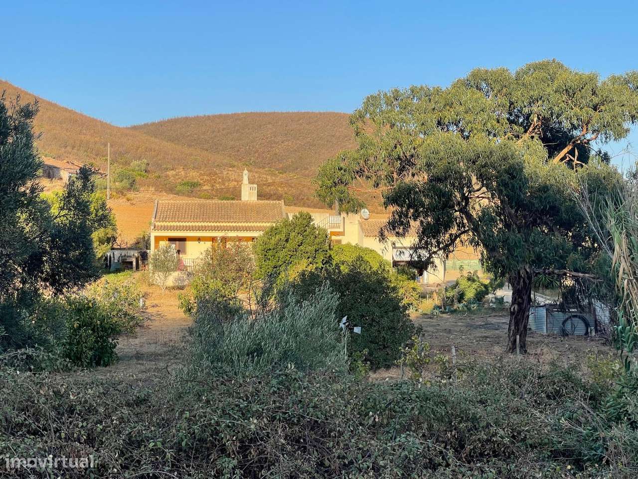 Quinta com moradia V3 na Mexilhoeira Grande-12