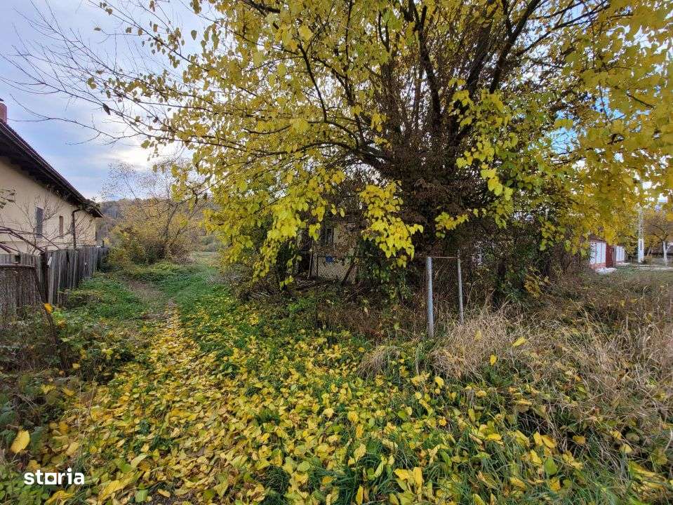 Vanzare teren intravilan, 4967  mp, utilitati, sat Rasova, Balesti. - Imagine principală: 4/9