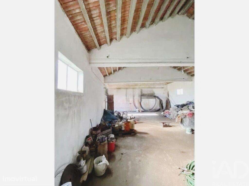 Terreno Agrícola em Samouco - Grande imagem: 5/28