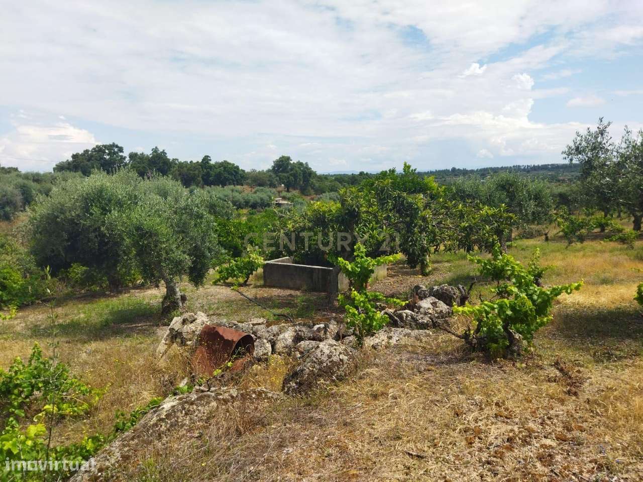 Terreno rústico | Lousa CTB, Castelo Branco-27