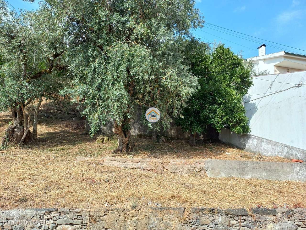 Terreno inserido no aglomerado urbano com viabilidade de construção-7