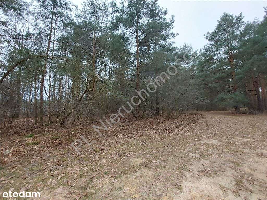 Zielono I Bezpiecznie, Blisko Rzeka Bug. - Pełny obrazek: 4/9