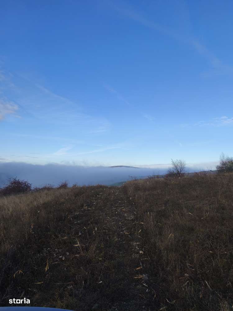 Teren racordat la rețeaua de apă și electricitate - Imagine principală: 4/5