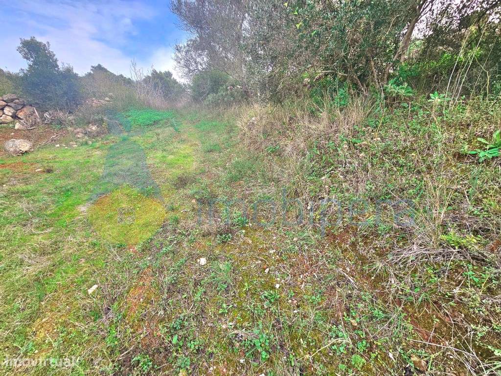 Algarve, Messines: Terreno rústico na evasão do campo, ideal para a... - Grande imagem: 5/12