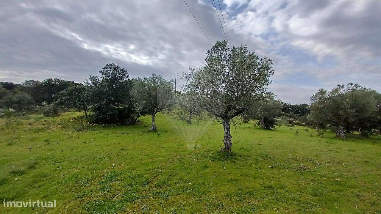 Terreno  para venda - Grande imagem: 3/5