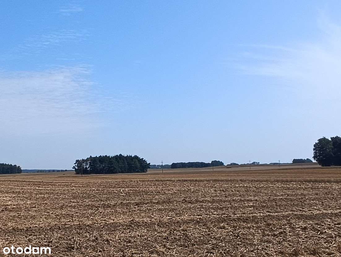 Działka rolna 7,5 ha Rychnowy - Pełny obrazek: 4/11