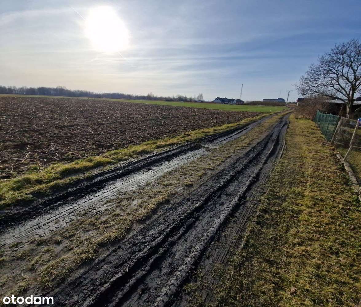 Na sprzedaż działka, ul. Zielna w Prudniku - Pełny obrazek: 4/5