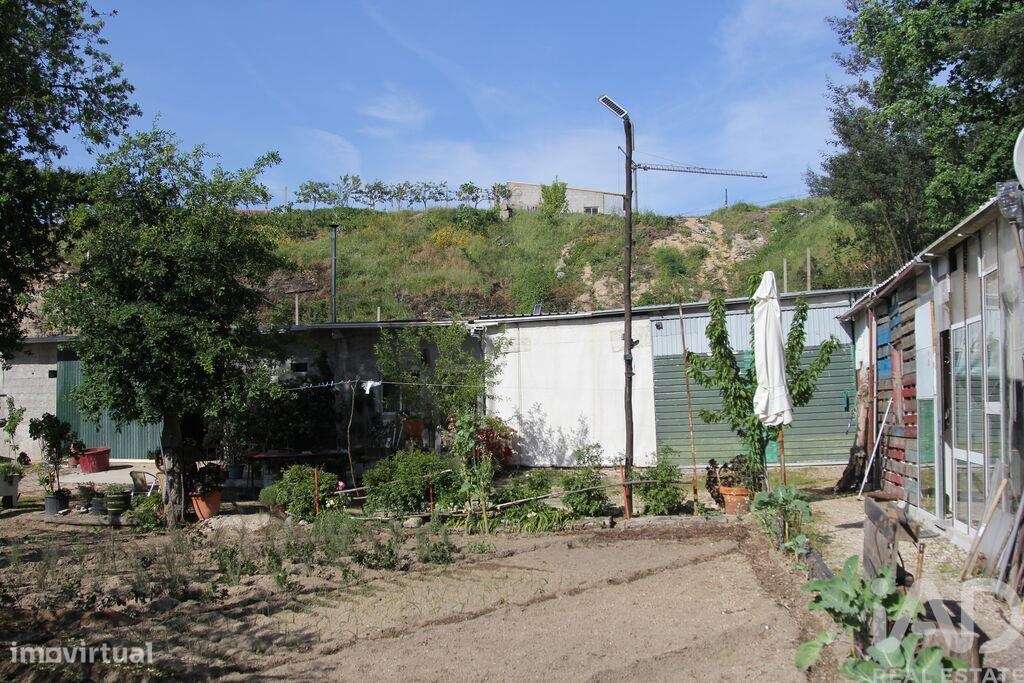 Terreno Agrícola em Oliveira do Hospital e São Paio de Gramaços-26