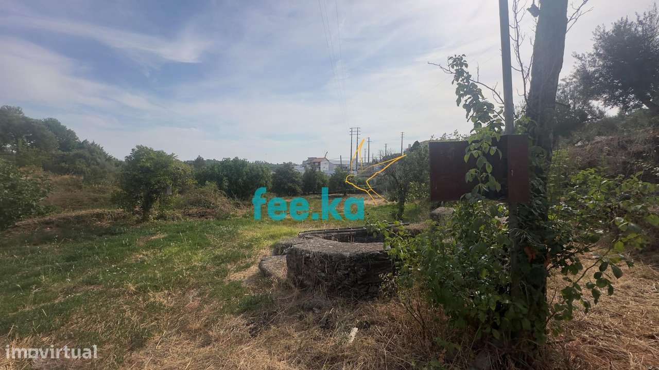 Quintinha-37